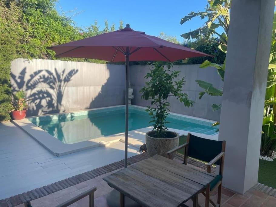 Atuaire Home Sevilla 梅里那德奥拉菲 外观 照片
